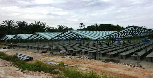 Wakuba Nursery Plant In Tawau, Sabah [ 2010 ] 